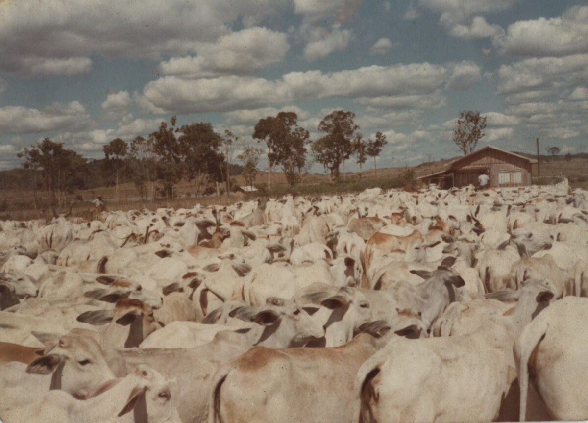 1997 - Início Fazenda Gamada